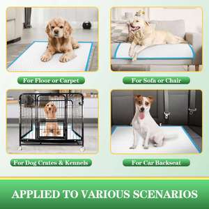 2026 Coussinets absorbants pour chiots en gros, épais et désodorisants, couches jetables pour chiens, fournitures d'entraînement pour animaux de compagnie - Product Image 1