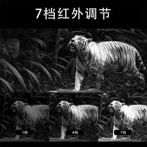 Lunettes de vision nocturne infrarouge tactiques montées sur la tête d'usine NV8160 - Product Image 4