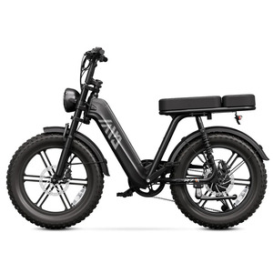 Bici Elettrica Ibrida con Telaio in Acciaio al Carbonio 250W 48V 15Ah Freno a Disco E-bike da Città con Due Posti e Pneumatici Larghi - Magazzino UE - Product Image 1