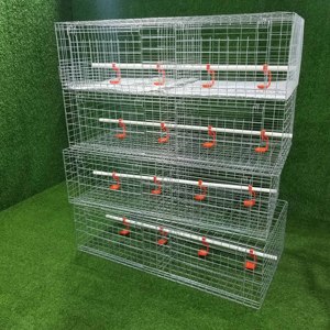 H Type 3/4 Tiers 60/80 oiseaux Capacité Système d'abreuvement et d'alimentation Batterie galvanisée à chaud <span class=keywords><strong>Chair</strong></span> Poulet Poulet <span class=keywords><strong>de</strong></span> <span class=keywords><strong>chair</strong></span> Cage pour poulet <span class=keywords><strong>de</strong></span> <span class=keywords><strong>chair</strong></span> - Product Image 5