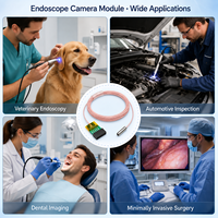 Module de caméra USB miniature jetable OCHTA10 1,0 mm 400x400 120FOV 30 FPS étanche pour inspection industrielle par endoscope