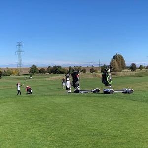 Patinete eléctrico de 2000W para adultos, carrito de golf, monopatín de 4 ruedas, 60V, W, gran oferta - Product Image 5