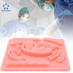 Équipement médical à domicile : Coussin de suture avancé en silicone pour la pratique de la suture bilatérale des lèvres fendues mixtes, destiné à la formation médicale et chirurgicale - Product Image 1
