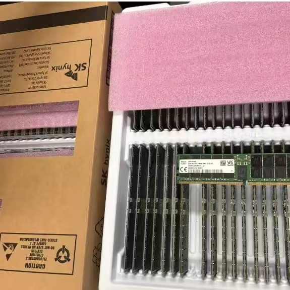 SK Ushynix服务器内存16gb 32gb 64gb 128gb 256gb DDR5 PC5-4800B ECC RDIMM ...