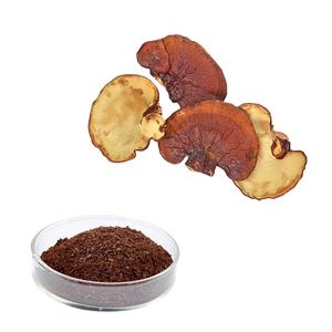 Органический порошок грибов Hongda: смесь грибов — львиная грива, рейши, кордицепс, чага, экстракт травяных грибов в порошке - Product Image 2