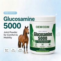 Poudre de soutien articulaire équine OEM ODM Glucosamine Chondroïtine MSM Mobilité Flexibilité Marque Privée