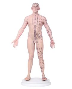 Modèle d'acupuncture en silicone pour homme de 21.6 pouces (maquillage multicolore) avec modèle humain de 409 points d'acupuncture avec méridiens chinois 2.6kg - Product Image 1