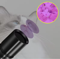 Portable Mini 365nm UV LED lampe de poche stylo ultraviolet lumière noire lampe AA batterie détecteur torche pour corps en alliage d'aluminium pour animaux de compagnie