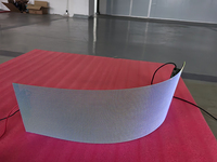 Écran invisible holographique muxwave d'intérieur à haute transparence Écran de panneau publicitaire à LED Affichage 3D pour la publicité