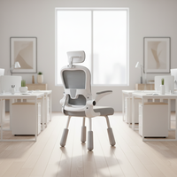 Chaise de bureau exécutive moderne, hauteur réglable, accoudoirs, dossier en maille, design minimaliste, pour bureau à domicile, salon, école, atelier