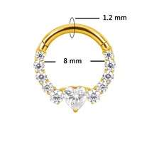 Mode Piercing bijoux ASTM F136 titane coeur Zircon Segment articulé nez anneau bijoux boucle d'oreille Piercings cerceau anneau