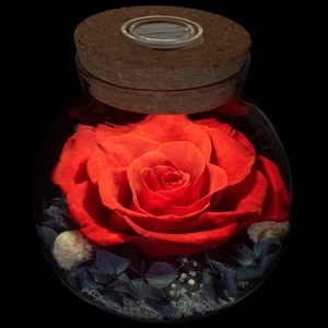 Bouteille à vœux Rose Éternelle avec couvercle en verre créatif, veilleuse décorative, cadeau d'anniversaire Tanabata, dégradé multicolore - Product Image 1