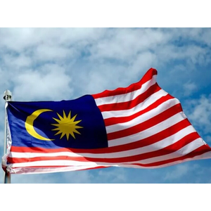 Hot bán 3 * 5ft 100D Polyester tùy chỉnh cờ đôi khâu Malaysia bỏ phiếu quảng cáo khuyến mãi cờ - Product Image 4