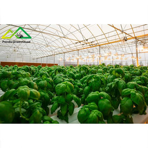 Sistema Hidropónico Avanzado de Gran Escala con Estructura de Acero Galvanizado por Inmersión en Caliente, Invernadero Combinado para Plantación, para una Aumento Exponencial de la Rentabilidad - Product Image 4