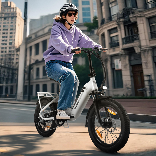 20-inch 3.0 Urban Folding Electric Bicycle 7-Speed Aluminum Alloy Lithium Battery 36V 13Ah Rear Hub Motor Brushless Fat Tire
