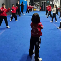 Alfombra de Artes Marciales de Nailon de 1000g al por Mayor, Alfombra Moderna con Mechones Especiales para Escenarios de Ópera y Gimnasios