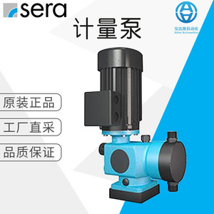Bomba de Diafragma Industrial de 10-100 L/Min, 1 HP, Monofásica, Eléctrica, Membrana de NBR, Conexión de Brida, 1 Pulgada de Descarga - Product Image 5