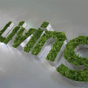 Nhà máy tùy chỉnh 3D Diode rêu Backlit logo chữ ngoài trời Backlit trang trí trường văn hóa chiếu sáng trang trí - Product Image 6