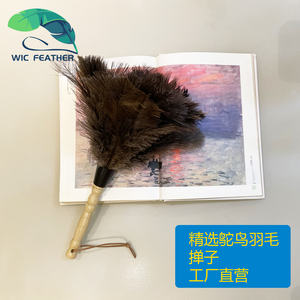 Fournitures de nettoyage lavables à prix d'usine, <span class=keywords><strong>Mini</strong></span> <span class=keywords><strong>plumeau</strong></span> en plumes d'autruche de 14 pouces pour clavier de voiture et de bureau, vente en gros - Product Image 4