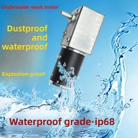 Moteur à engrenages à vis sans fin étanche IP68 12V 24V 240W à couple élevé autobloquant réversible 5882-45 pour applications sous-marines