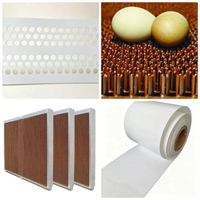 Tapis de nidification en plastique pour poulailler, amovible, marron, pour poules pondeuses, accessoires d'équipement pour poulailler