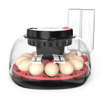 Wonegg famille utiliser automatique Mini poulet oeuf incubateur Machine à couver l'eau externe ajoutant avec affichage de la température
