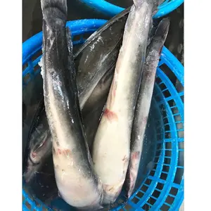 Best Quality Seafood Product Natural Whole Frozen Catfish