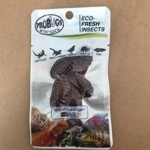 แมลงสาบอาหารสัตว์ อาหารสัตว์เลี้ยง แมลงสาบดูเบียสด อาหารสัตว์เลื้อยคลาน - Product Image 2