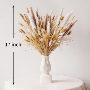 Hot Selling Fluffy Bohemian Style Home Decor Dried Flower Small Pampas Grass Rabbit Tail Bouquet