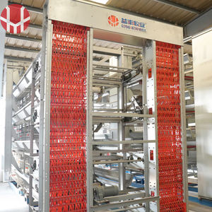 Vendita calda della fabbrica di fornitura diretta della gabbia di pollo piani di allevamenti di pollame a strati di gabbia di allevamento di pollame - Product Image 3