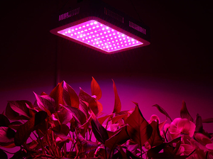 Panneau lumineux LED à spectre complet 300W-1000W, lampe de croissance carrée pour plantes, idéale pour les applications de culture intérieure en serre et la production de fruits - Product Image 4