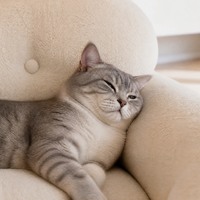 Canapé-lit surélevé pour animaux de compagnie, en polaire, avec pieds en bois, dossier touffeté haut, rebord enveloppant, confortable pour l'intérieur, vente en gros