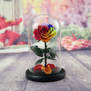 Rose éternelle en gros, cadeau de la Saint-Valentin, rose rouge conservée dans un dôme en verre, cadeau de rose éternelle réelle, tige de rose éternelle - Product Image 4