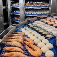 KHFT Automatische IQF Spirale Vriesmachine voor Vlees, Zeevruchten, Pluimvee, Bakkerijproducten en Snelgevroren Voedselverwerking
