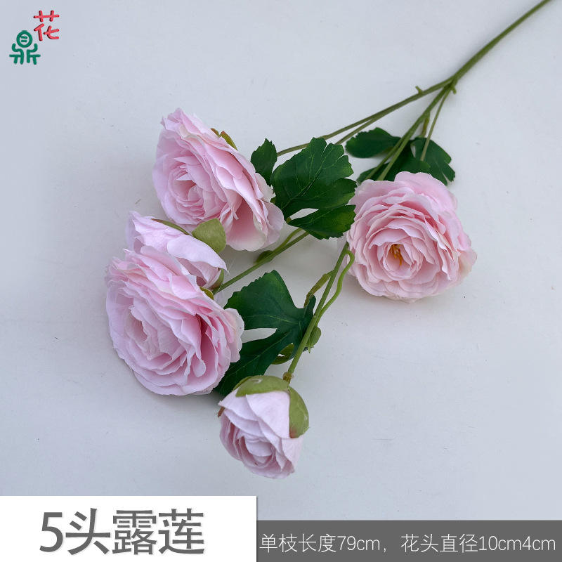 5 heads of lulian jyg light pink