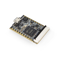 Placa de Desarrollo Lichee Nano F1C100S Serie Lichee Pi con 32MB de Memoria DDR1 para Aprendizaje y Programación Linux, 25.4x33mm