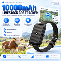 Traceur GPS pour bétail 10000mAh, pour bovins et ovins, suivi de localisation en temps réel, gestion intelligente de la ferme, dispositif de collier étanche IP68