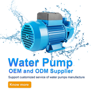 ปั๊มน้ำ OEM CE รุ่น QB60 QB-60 ขนาดเล็ก 0.5 แรงม้า 370 วัตต์ สำหรับบ้าน 220 โวลต์ ใช้ในงานเกษตร ราคาประหยัด ให้แรงดันน้ำสูง สะอาด - Product Image 3