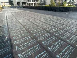 Membrana Impermeable de Asfalto y PE Resistente a las Raíces, No Tóxica, Segura y Ecológica, con 5 Años de Garantía para Sótanos y Baños - Product Image 2