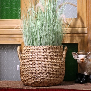 Tự Nhiên Nước Lục Bình Dệt Nhà Máy Nồi Lọ Hoa Giỏ - Product Image 6