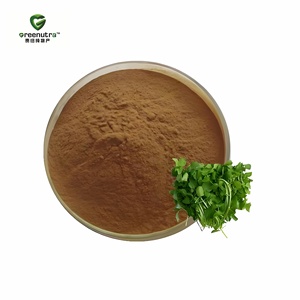 Extracto de Hinojo de Agua en Polvo, Extracto de <span class=keywords><strong>Nasturtium</strong></span> <span class=keywords><strong>Officinale</strong></span> 10:1, Extracto Natural de Plantas para Suplementos Dietéticos, Grado Alimenticio, a Granel - Product Image 2