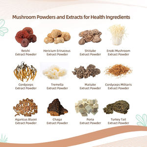 Label pribadi sesuai modul A10 dalam 1 8 dalam 1 campuran jamur kompleks bubuk organik bubuk jamur campuran - Product Image 4