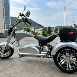 2024 Nouveau 2000W 3000W 4000W Usa Eu Entrepôt Livraison Gratuite Trike Électrique Trois Roues Gros Pneu Tricycle Électrique Citycoco Avec Coc