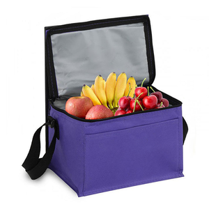 Borsa Termica Personalizzata Ecologica in Tessuto Non Tessuto, Impermeabile, Riutilizzabile, Grande Capacità, Isolante per Pranzo e Picnic - Product Image 3