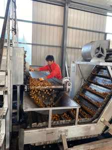 <span class=keywords><strong>Secadora</strong></span> Industrial <span class=keywords><strong>de</strong></span> <span class=keywords><strong>Bomba</strong></span> <span class=keywords><strong>de</strong></span> <span class=keywords><strong>Calor</strong></span> <span class=keywords><strong>de</strong></span> Secado Rápido, Deshidratador <span class=keywords><strong>de</strong></span> Aire Caliente para Nueces, Cacahuates, Anacardos, Granos <span class=keywords><strong>de</strong></span> Café, Máquina <span class=keywords><strong>de</strong></span> Secado <span class=keywords><strong>de</strong></span> Snacks <span class=keywords><strong>de</strong></span> Frutos Secos 100-1800kg - Product Image 4