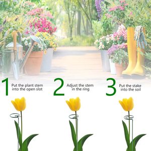 Support <span class=keywords><strong>de</strong></span> plante à tige unique pour <span class=keywords><strong>jardin</strong></span>, anneau <span class=keywords><strong>de</strong></span> soutien pour orchidée, pivoine, lys, rose, piquets <span class=keywords><strong>de</strong></span> soutien pour plantes, vente chaude - Product Image 4