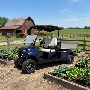 Carrito de Golf Eléctrico Compacto de 2 Plazas, Ligero y de Bajo Consumo para Caminos No Públicos - Product Image 2