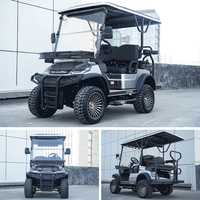 LVTONG Voiturette de Golf de Luxe, Batterie au Lithium 48V, Véhicule Utilitaire, Voiture Touristique, Buggy de Golf Électrique 4 Places