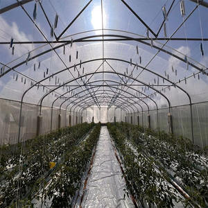 Serre agricole galvanisée Skyplant, <span class=keywords><strong>tunnel</strong></span> durable et écologique - Product Image 6