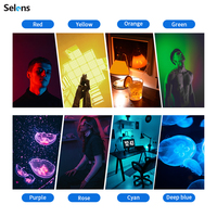 Lampe LED portable Selens AL-01 Mini pour photographie, éclairage avec 20 filtres de couleur pour équipement de studio